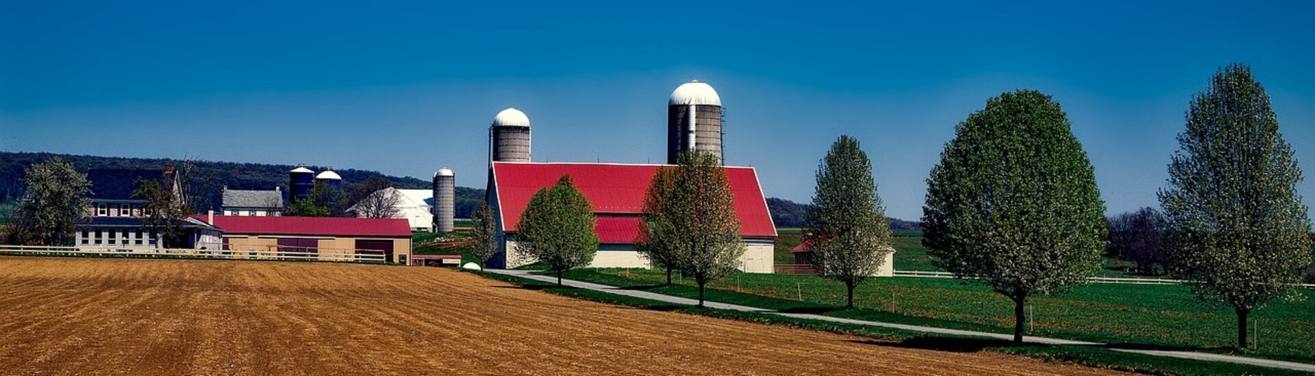farm, amish, pennsylvania